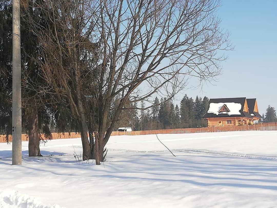 Willa Osada Sprzycka Dzianisz Zewnętrze zdjęcie
